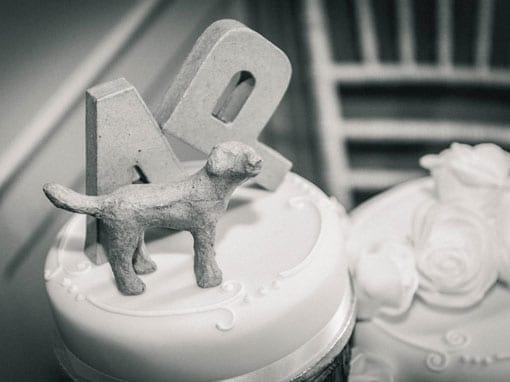 ANNEKA & PHIL – WEDDING CAKE