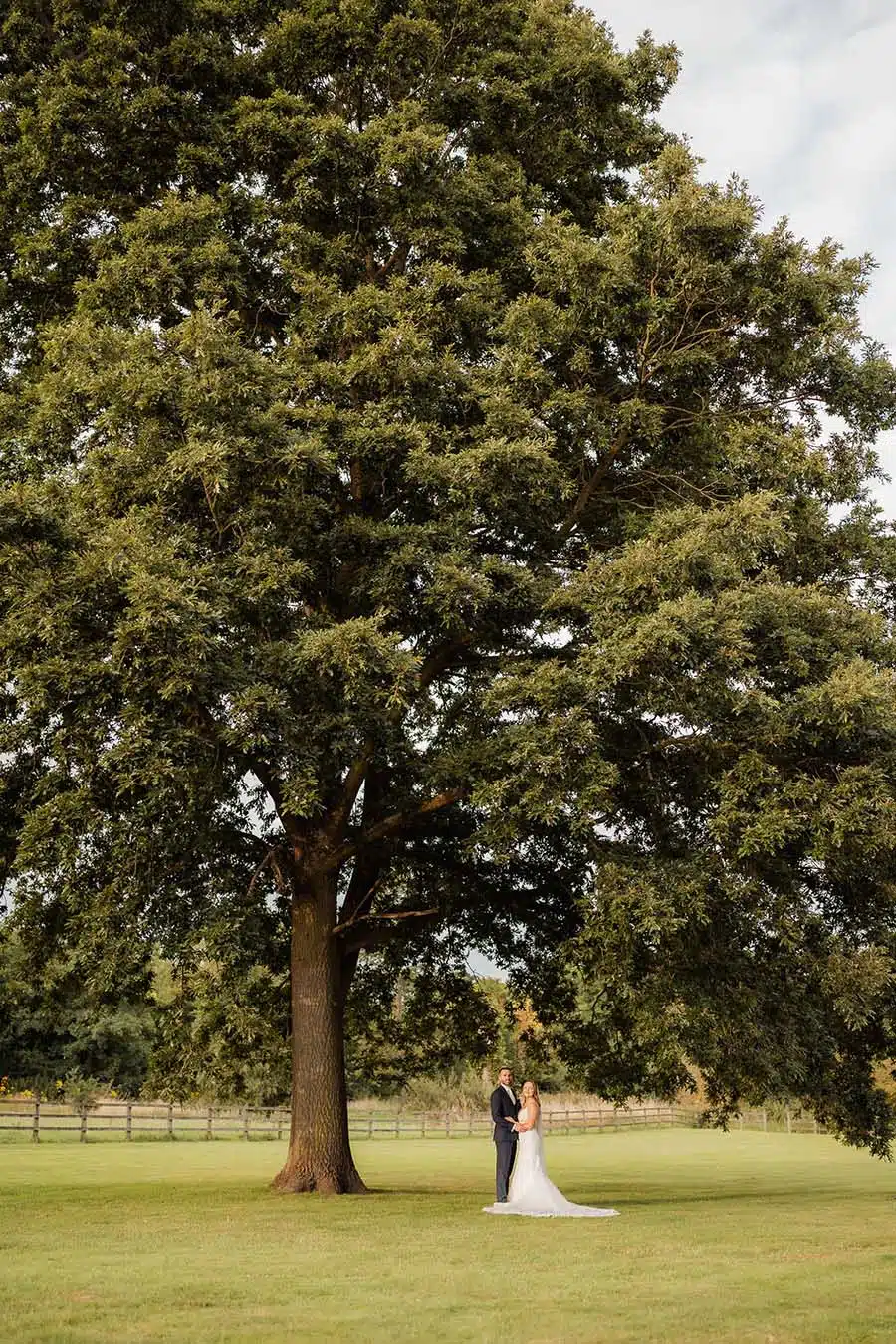 Bride and groom under large tree at That Amazing Place Essex Wedding Venue