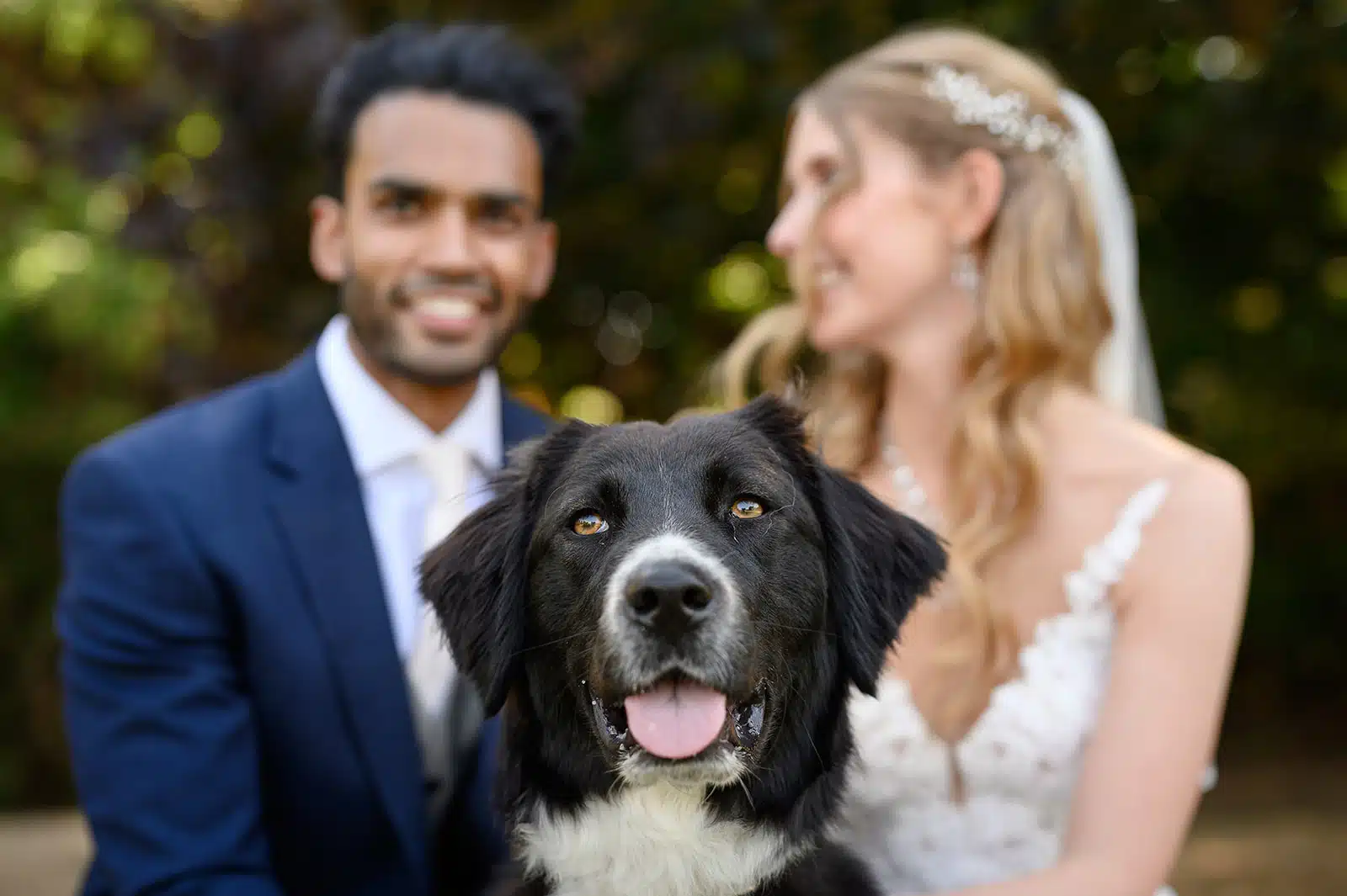 Dog friendly wedding venue That Amazing Place in Old Harlow, Essex. Countryside wedding and events venue perfect for long dog walks and fun with your furry friends.